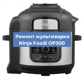 Замена уплотнителей на мультиварке Ninja Foodi OP300 в Белгороде